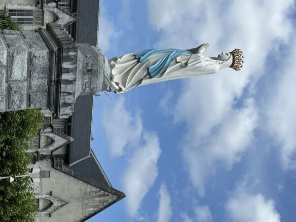 From San Sebastián: Sanctuary of Lourdes Private Day Trip - Accessibility and Private Group Option