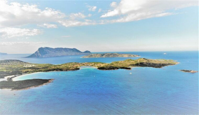 From San Teodoro: diving for experts in Tavolara and Molara - What Sets This Tour Apart