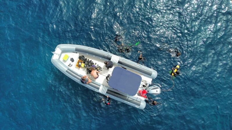 From San Teodoro: Snorkeling in Tavolara and Molara - Good To Know