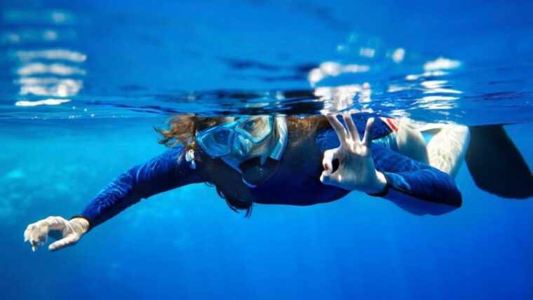 From San Teodoro: Snorkeling in Tavolara and Molara - Marine Life Encountered
