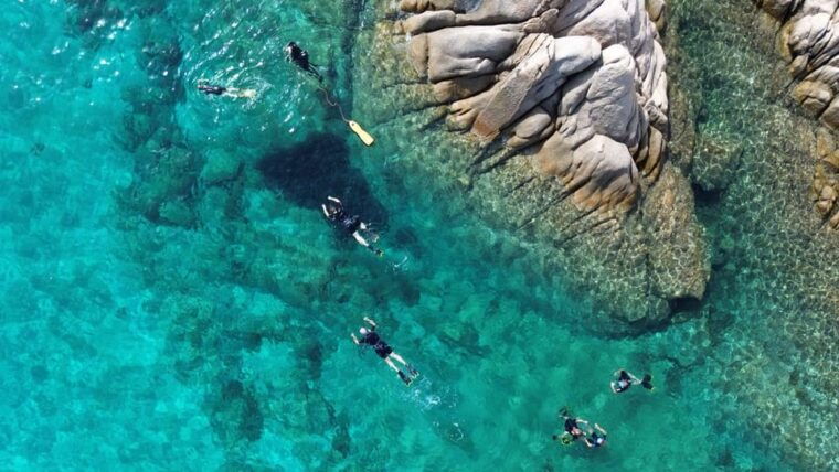 From San Teodoro: Snorkeling in Tavolara and Molara - Equipment and Amenities Provided