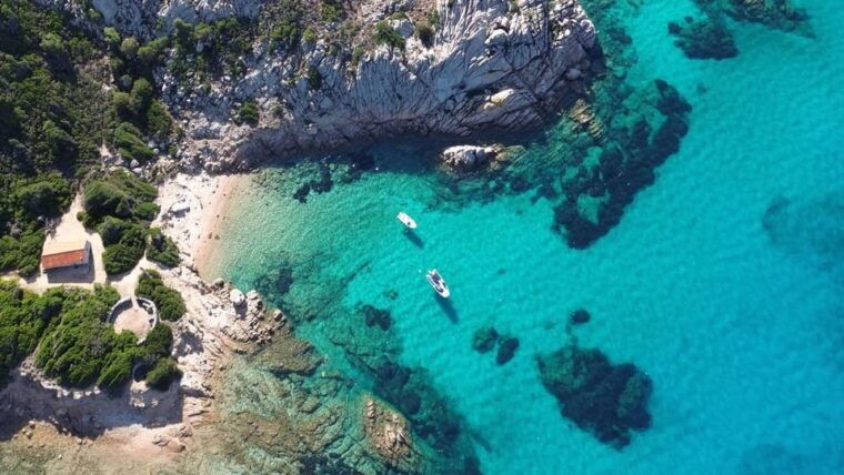 From San Teodoro: Snorkeling in Tavolara and Molara - Booking and Pricing Information