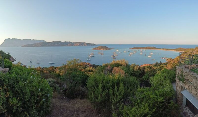 From San Teodoro: Tavolara Archipelago Mini Tour - Good To Know
