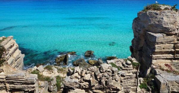 From San Vito Lo Capo: Favignana and Levanzo Boat Trip - Transportation and Value for Money