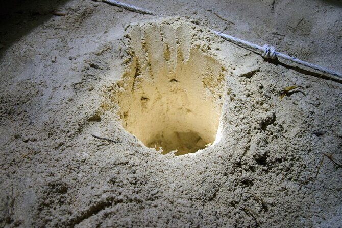 From Sandakan: 2D1N Turtle Island & Sepilok Wildlife Experience - An In-Depth Look at the 2D1N Experience