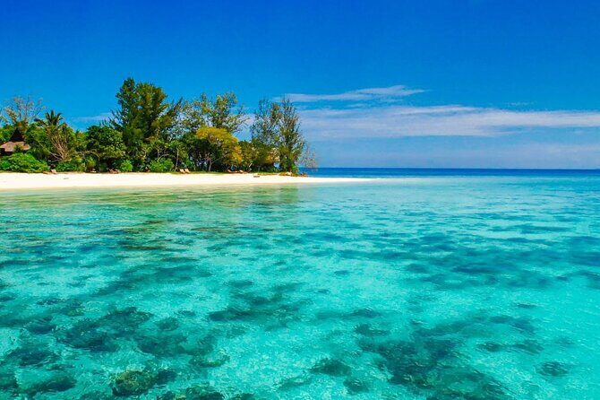 From Sandakan: 2D1N Turtle Island & Sepilok Wildlife Experience - Final Thoughts