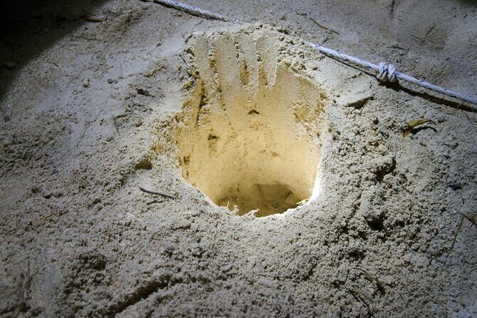 From Sandakan 2D1N Turtle Island Tour - The Experience of Conservation and Nature