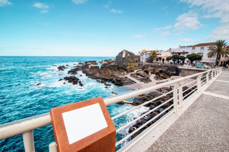 From Santa Cruz: Teide Volcano, Icod, & Garachico Tour - What to Bring and Important Information