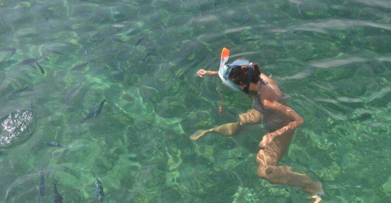 From Santa Guilia GRAND SUD Cruise and Snorkeling Day Trip - Good To Know