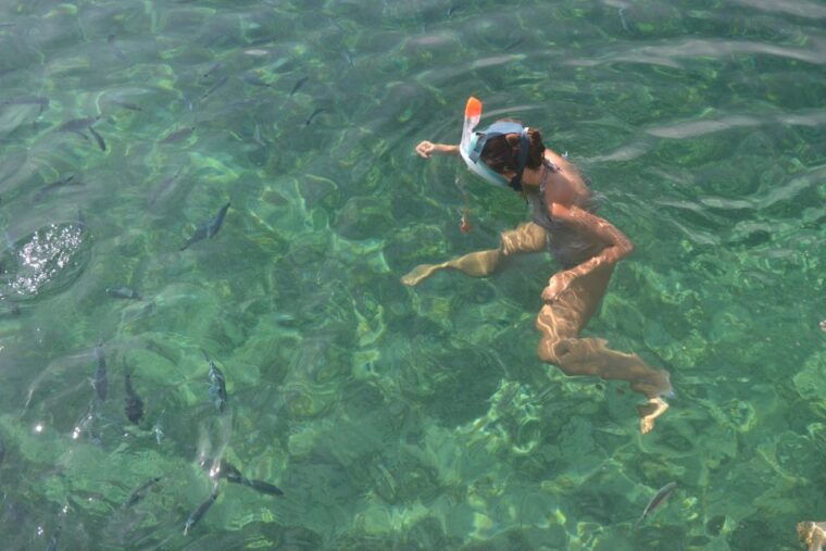 From Santa Guilia GRAND SUD Cruise and Snorkeling Day Trip - Inclusions of the Trip