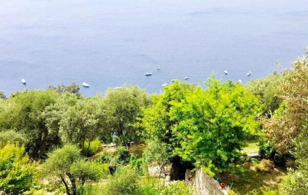 From Santa Margherita: Ebike Tour Along the Italian Riviera - Itinerary