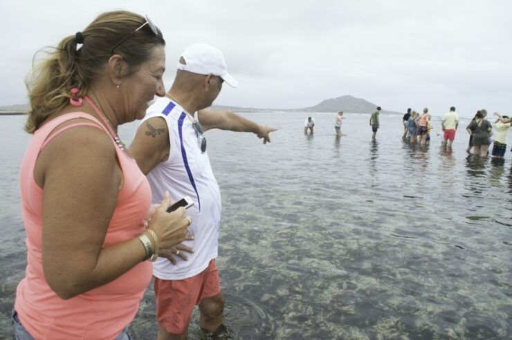 From Santa Maria: Guided Lemon Shark Watching - Important Information