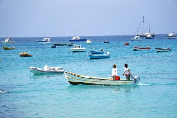 From Santa Maria: Sal Island Private Day Trip - The Sum Up