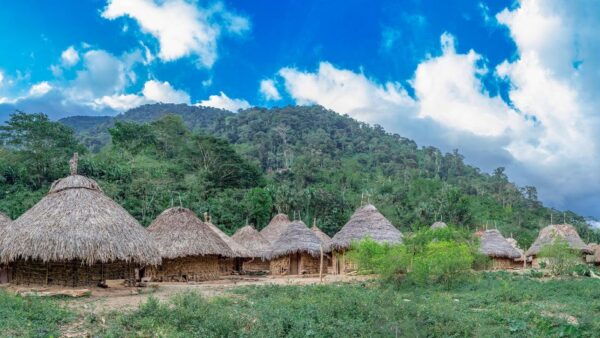 From Santa Marta: 4-Day Lost City Discovery Tour - Return to Santa Marta