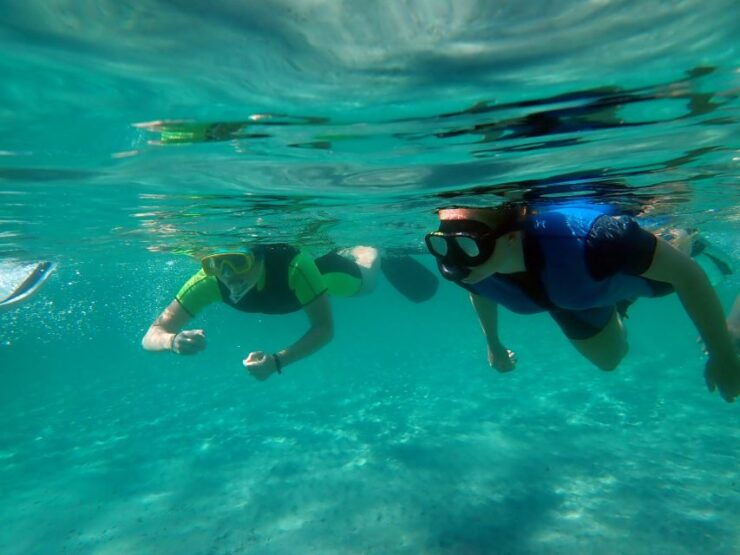 From Santa Pola: Snorkel Trip in Tabarca Island - Booking Details