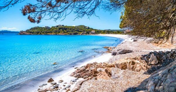 From Santa Teresa Gallura: Boat Trip to Maddalena Archipelago - Visitor Reviews and Ratings