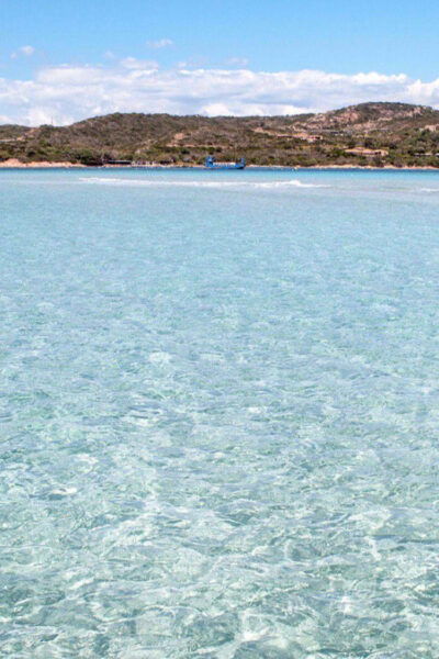From Santa Teresa Gallura: Boat Trip to the Corsica Archipelago - Frequently Asked Questions
