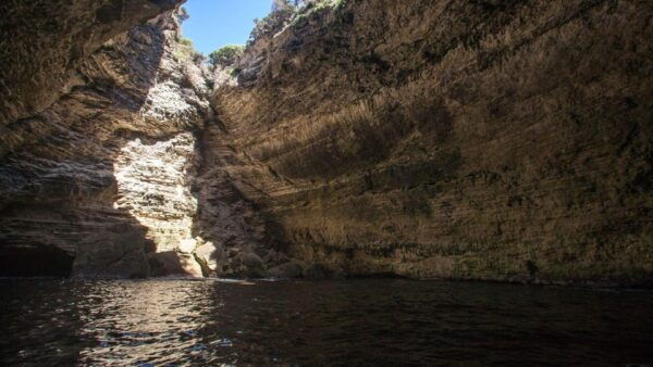From Santa Teresa Gallura: Dinghy Tour to Corsica - What to Bring