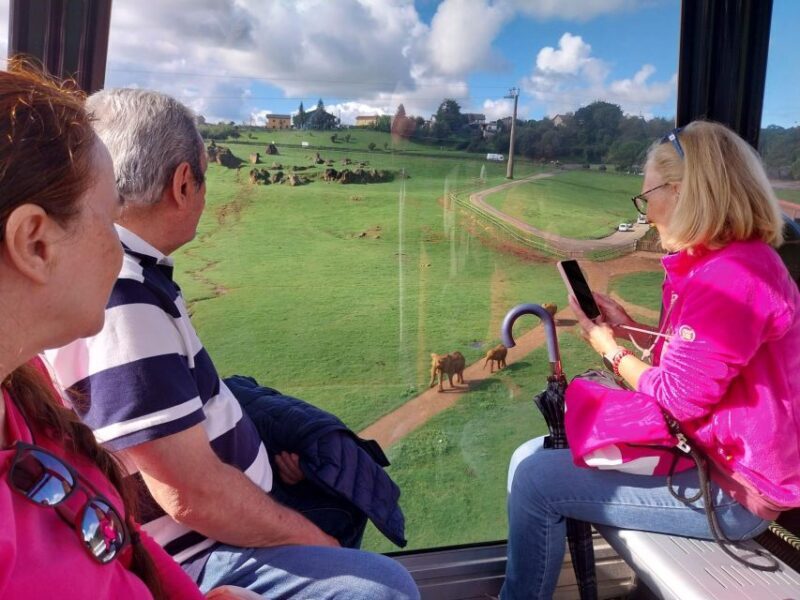 From Santander: Cabarceno Natural Park Half-Day Trip - Exploring Cabarceno Natural Park: An Honest Review of the Santander Half-Day Trip