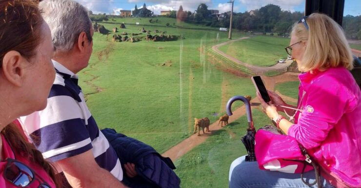 From Santander: Cabarceno Natural Park Half-Day Trip - Booking Details