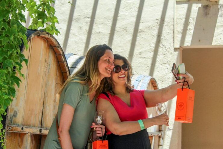From Santiago: Concha Y Toro Marqués Half-Day Wine Tasting - Activity Details