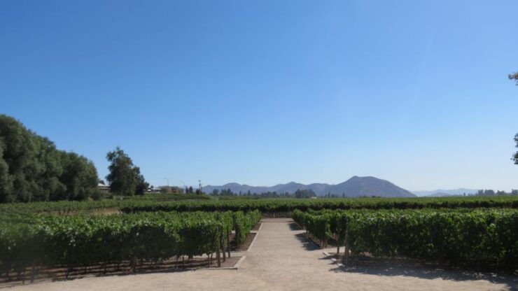 From Santiago: Concha Y Toro Winery Tour With Transfer - Booking and Logistics Details