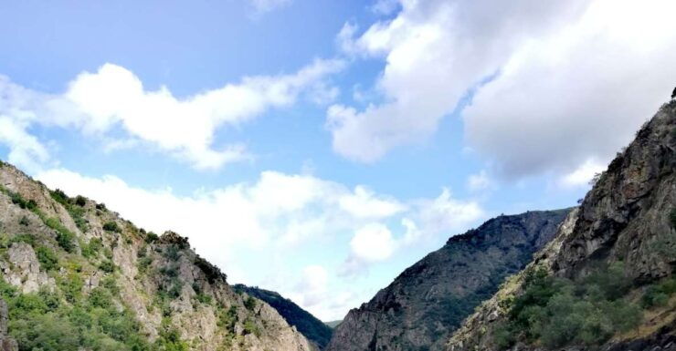 From Santiago: Excursion to Ribeira Sacra and Ourense - Tour Details