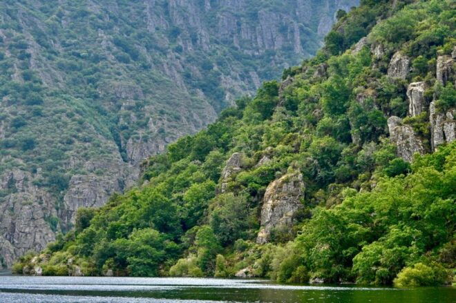 From Santiago: Excursion to Ribeira Sacra and Ourense - Booking Information