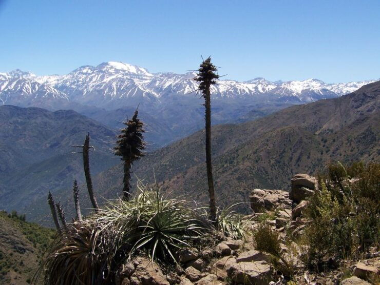From Santiago: Half-Day Hike in the Andes Mountains - Highlights