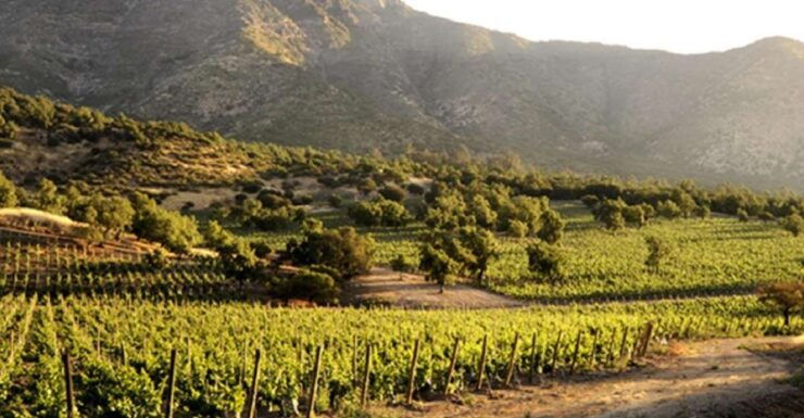 From Santiago: Maipo Valley Wine Tour - Booking Details