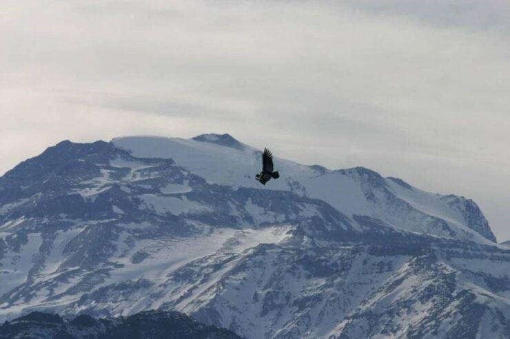 From Santiago: Mount Altos Del Naranjo Half-Day Hike - Activity Details