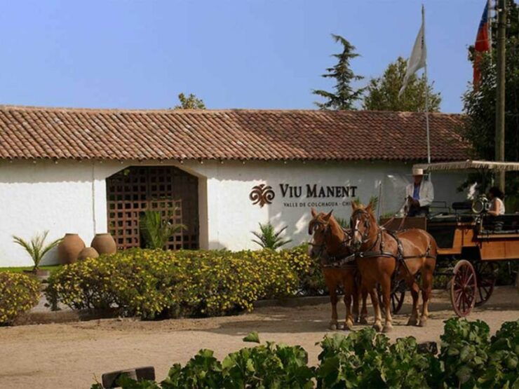 From Santiago: Private Colchagua Valley Wine Tour W/ Tasting - Tour Overview