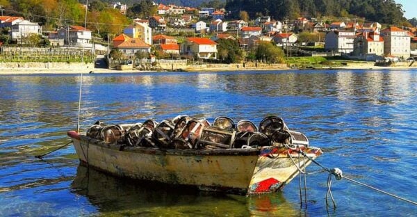 From Santiago: Rías Baixas Galicia Seafood & Wine Day Tour - The Sum Up