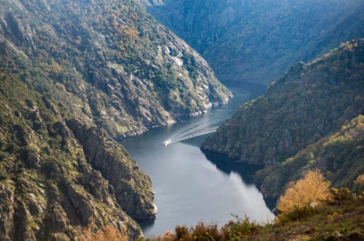 From Santiago: Ribeira Sacra History & Art Trip With Cruise - Trip Overview