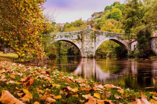 From Santiago: Ribeira Sacra History & Art Trip With Cruise - Important Information