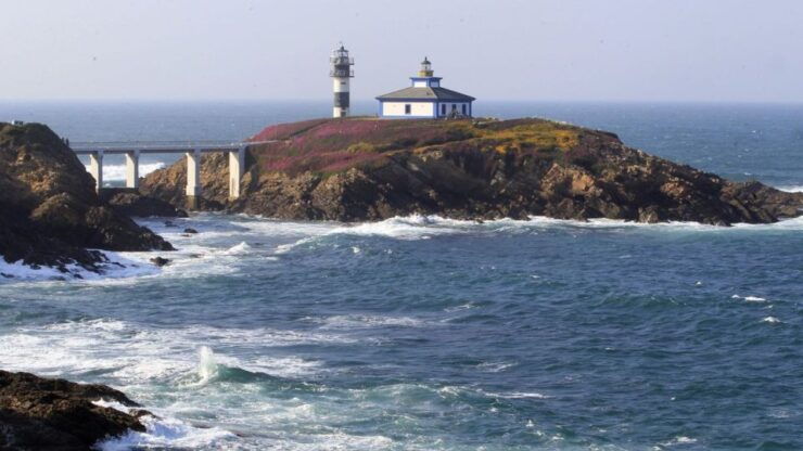 From Santiago: Tour to Cathedral Beach, Asturias, and Pancha - Inclusions