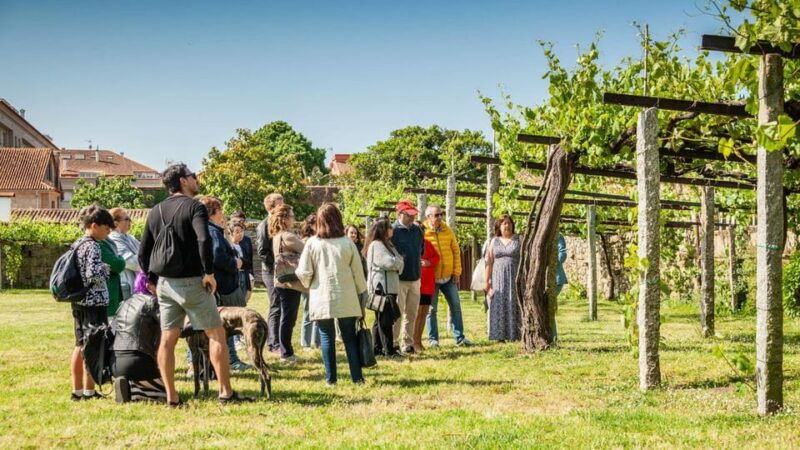 From Santiago: Tour to Rias Baixas With Boat Trip and Winery - Combarro: Guided Tour and Free Time