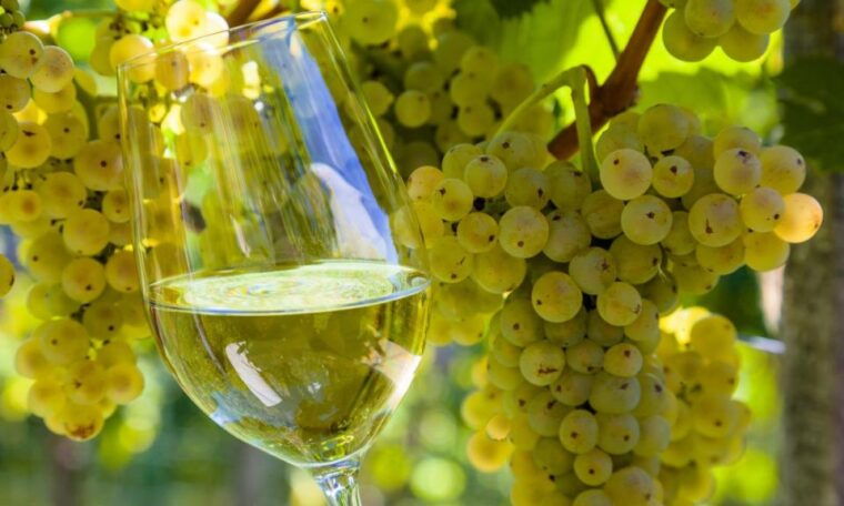 From Santiago: Tour to Rias Baixas With Boat Trip and Winery - Illa Da Toxa: Guided Tour and Free Time