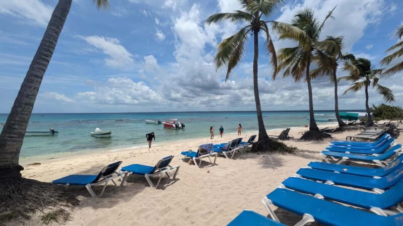 From Santo Domingo: Catalina Island Day Tour - What’s Included and What’s Not