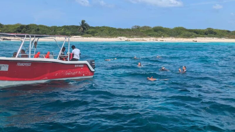 From Santo Domingo: Catalina Island Day Tour - Pricing and Value