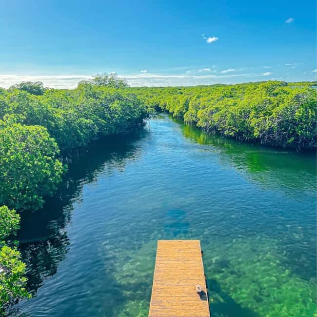 From Santo Domingo: Island Cabra & Grand Gossier Sandbank - Scenic Boat Cruise Through Mangrove Forests