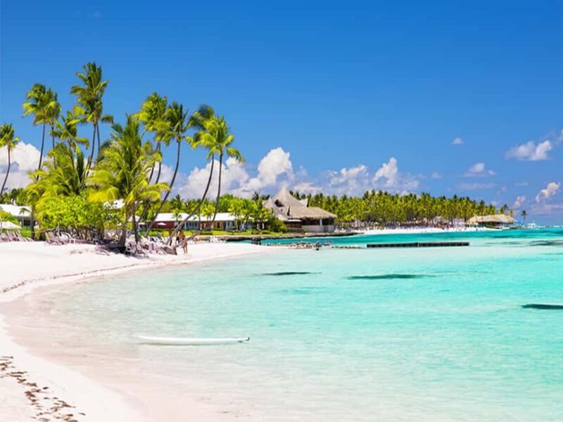 From Santo Domingo: Saona Island Day Trip with Lunch - What to Expect from the Saona Island Day Trip