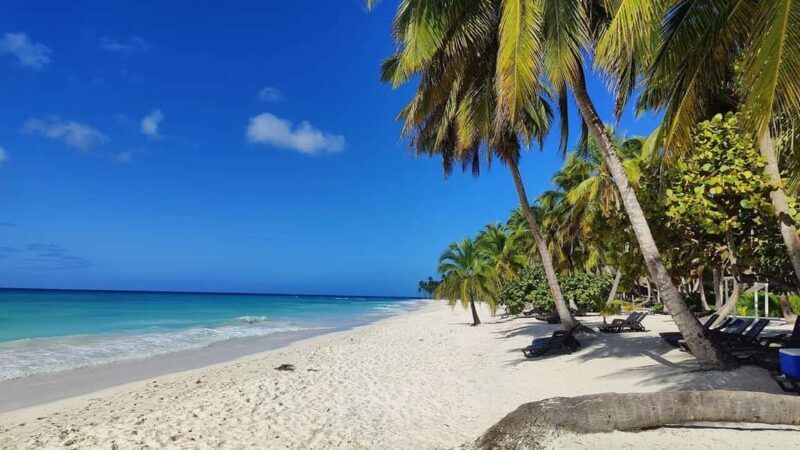 From Santo Domingo: Saona Island Tour with Lunch & Drinks - Good To Know