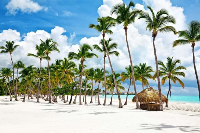 From Santo Domingo: Saona Island Tour with Lunch & Drinks - Detailed Breakdown: Why Each Part Matters