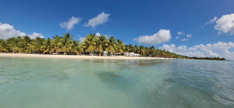 From Santo Domingo: Saona Island Tour with Lunch & Drinks - Practical Tips for a Smooth Experience