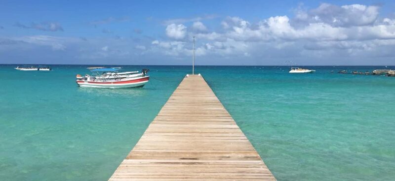 From Santo Domingo: Saona Island Tour with Lunch & Drinks - The Value of This Tour