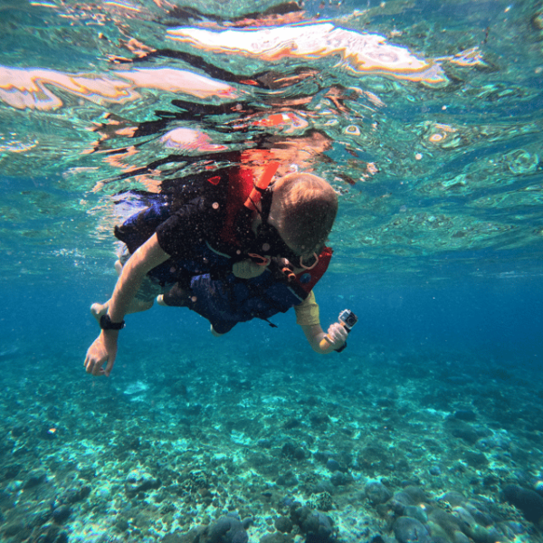 From Sanur : Snorkeling and Land Excursion at Nusa Penida - Booking Information