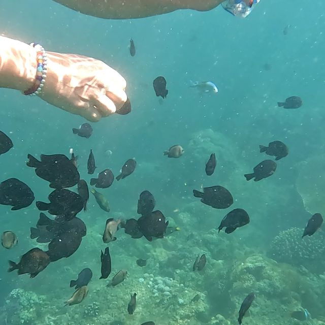 From Sanur to Nusa Penida : Snorkeling Tour 3 Spots - Snorkeling Spots Exploration