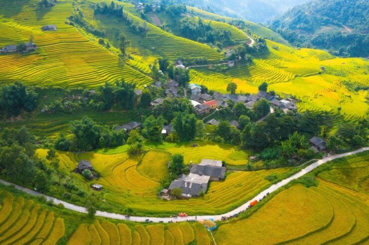 From Sapa : 1 Day Amazing Sapa Trek to Terrace Rice Field - Activity Details