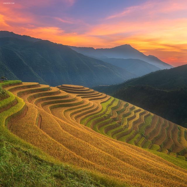 From Sapa: 1-Day Guided Trek to Lao Chai & Ta Van With Lunch - Highlights